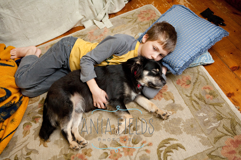 adopting-a-rescue-dog_20