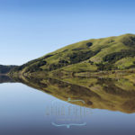 Nicasio reservoir in spring