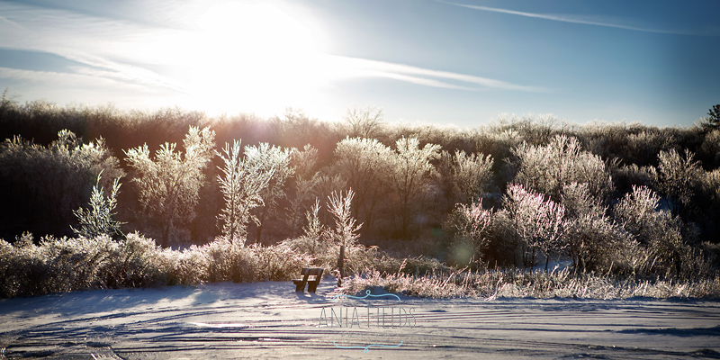 winter wonderland in Devils Lake