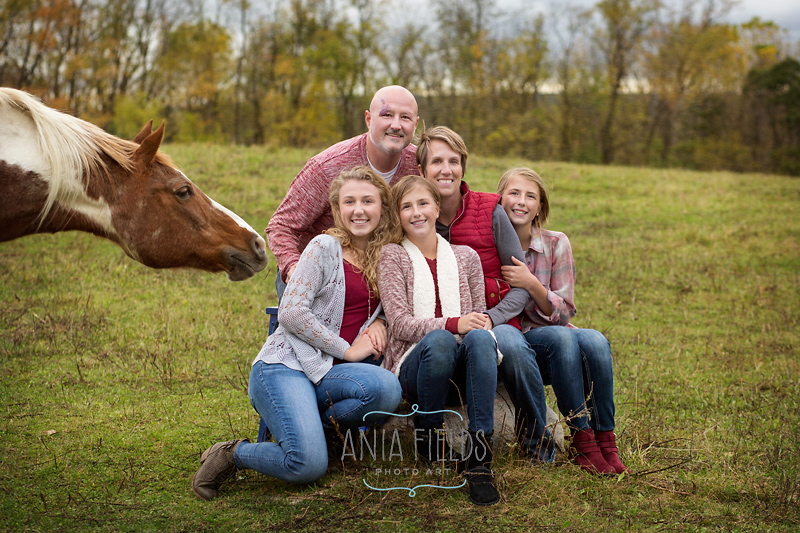 family photos with a horse
